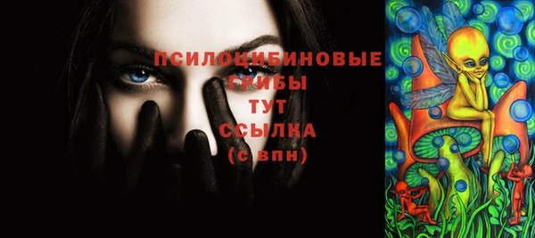 соль ск Зерноград