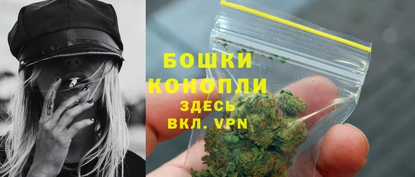 СК Зеленодольск