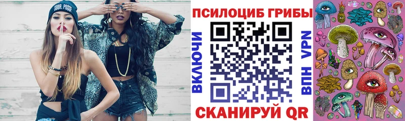 Галлюциногенные грибы Cubensis  Купить  Далматово 